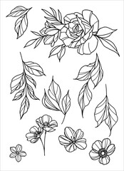 Wall Mural - Outline black and white flowers petals and leaves Vector SVG 