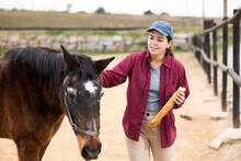 Female Farm Worker Taking Care Of Horses On Farm