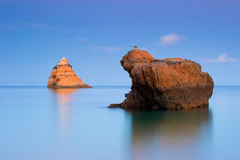 Orange Rock Formations Inside The Atlantic Ocean With A Seagul Standing In One Of Them, Dona Ana's Beach In Portugal.