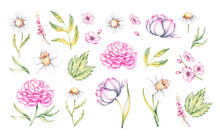 Watercolor Set Of Spring Flowers