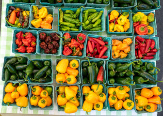 Colorful vegetable at a flea market. They are fresh and sold every weekend at local market. Tomatoes and peppers are both fruit, rich source vitamin A, C, good for skin and eyesight