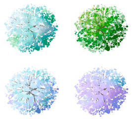 Wall Mural - vector watercolor of blooming tree top view isolated on white background for landscape plan and arch