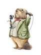 Watercolor vintage man brown beaver in costume clothes holding and calls on old telephone isolated on white background. Hand drawn illustration sketch