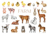 Farm animals and birds hand drawn set. Cow, pig, sheep, goat, chicken, duck, rabbit farm domestic animals big collection. Cute hand drawn piglet, chick, lamb, donkey, bunny on white background