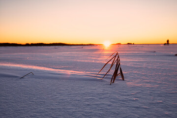 Wall Mural - dawn on frozen lake in Sweden