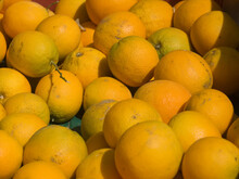 A Pile Of Oranges In Northridge, California.