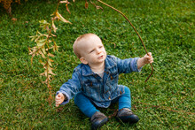 A Baby Sits On The Grass Looking Up And Playing With A Tree Branch