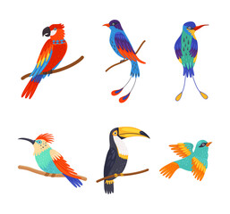 Wall Mural - set of colorful birds. bright exotic birds cartoon vector illustration