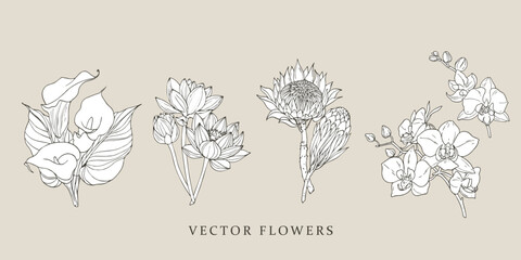 Sticker - Kalla, lotus, protea, orchid flowers.