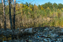Garbage Dump In Pond. City Dump On The Territory Of The River. Environmental Pollution By Household Waste. Ecological Disaster In Undeveloped Countries. Garbage In The Forest And On The Seashore