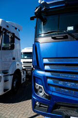 Poster - Semi trucks are parked in rows. Commercial fleet	