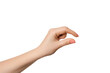 © Snizhana - Female hand as if holding something or showing size, isolate empty hands.