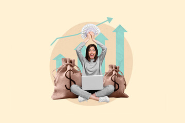 Sticker - Creative collage image of excited astonished girl hold dollar banknotes use netbook growing up arrow money bags isolated on painted background