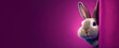 © koldunova - Curious rabbit peeking around the corner, on a purple background, created using Generative AI technology. Copy space.