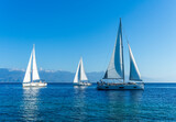Fototapeta  - sailing yacht boats with white sails in blue sea , seascape of beautiful ships in sea gulf with mountain coast on background