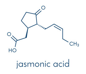 Sticker - Jasmonic acid (jasmonate, JA) plant hormone molecule. Skeletal formula.