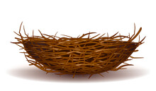Empty Bird's Nest Made Of Branches, Design Element For A Merry Easter Holiday