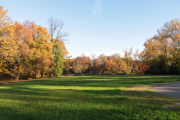 Wall Mural - picturesque view of park with beautiful trees and green grass on sunny day. autumn season