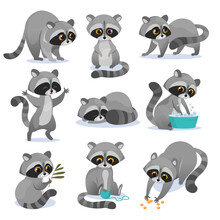 Cute Raccoon Sticker Free Stock Photo - Public Domain Pictures