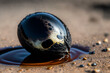 Concept Pollution nature water from oil spill. Egg of sea turtle covered in oil petrol waste. Generation AI