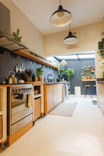 Pendant Light Hanging On Ceiling And Utensils Arranged On Shelves And Counter With Plants In Kitchen