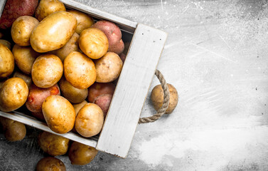 Poster - Potatoes in a box.