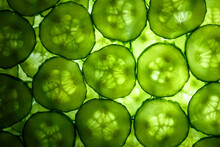 Slices Of Green Fresh Cucumber Backlit As A Textural Background