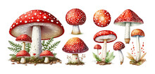 Set Of Watercolor Amanita Muscaria Mushrooms Isolated On White. Generative AI, Edited In Photoshop. Perfect Stickers Set