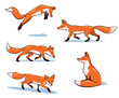Set of fox illustrations in various poses simple drawing