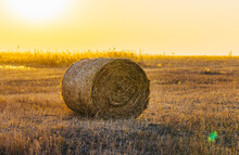 A Haystack In A Meadow That Had Been Mowed In The Evening