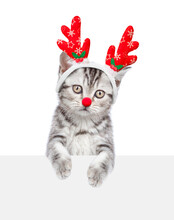 Cute Kitten Dressed Like Santa Claus Reindeer  Rudolf Looking Above Empty White Banner. Isolated On White Background
