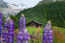 An Old Wooden Hut In A Mountain Meadow Below A Glacier In The Chamonix Valley, Seen During The Tour Du Mont Blanc Hike.