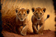 Niedliche Löwenbabys spielen zusammen in der Savanne, schöne Naturszene in afrikanischer Wildnis, generative ai