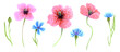 Set of hand drawn poppy flowers and blue cornflowers isolated. Drawn by markers illustration. Flower drawing.