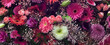 Flowers wall background with amazing mixed gerbera's  or daisy's flower banner backgrounds. 
Various color gerbera flower background wall.
urban jungle wall.
Valentine or Mother's day backgrounds.