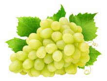 Bunch Of Thompson Seedless Grapes With Leaves And Tendrils Cut Out