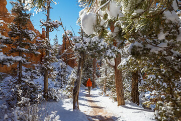 Wall Mural - Hike in winter Bryce