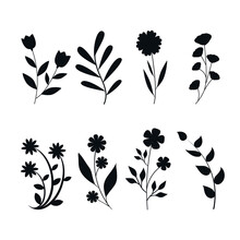 Flower Silhouettes Collection Isolated On White Background. Flowers Decoration. Spring Concept. Vector Stock