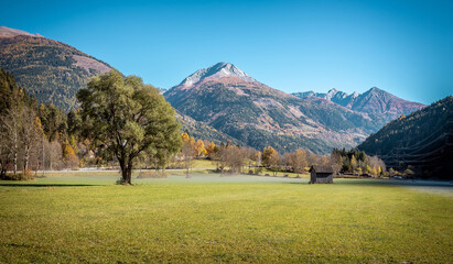 Aufkleber - Amazing sunny morning scenery in European Alps. Wonderful nature landscape on mountain valley. Amazing grassy field with fog. picture of wild nature. stunning nature bakground. rich harvest concept