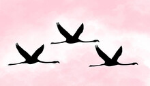Black Silhouette Of Flying Flamingos Against A Pink And White Background. Modern Minimalist Art.

