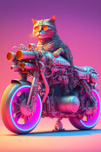 Kitty Cat Riding A Motorcycle 