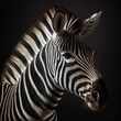 African zebra in portrait in studio, Generative Ai
