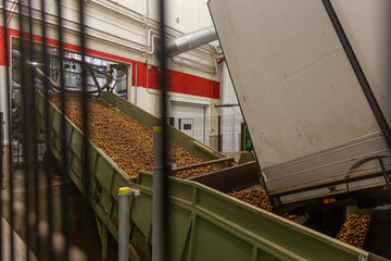 Wall Mural - Process of potato unload from the truck into cargo bed.