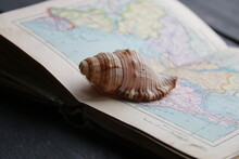 Seashell On Vintage Marine Atlas. Find The Way,