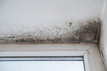 Slope Near The Window Fungus Moisture. Poorly Installed Windows, Rainwater Penetrates Into The Room