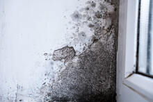 Dirty White Wall With Mold. Due To Poor Ventilation The Appearance Of Black Fungus On The Walls