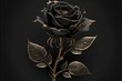A black rose with intricate gold & silver detailing, a luxurious & elegant display of beauty