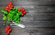 © Artem Shadrin - Healthy food. Fresh mint with organic tomatoes.