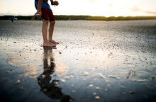 Low Section Of Boy Collecting Seashells While Standing At Beach During Sunset