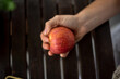 © Cavan Images - Holding an apple